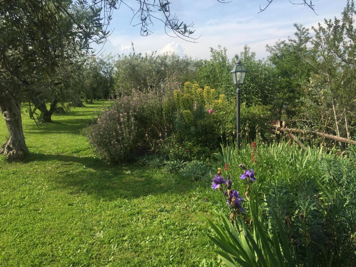 Willa Olivella Campagnano Di Roma Zewnętrze zdjęcie